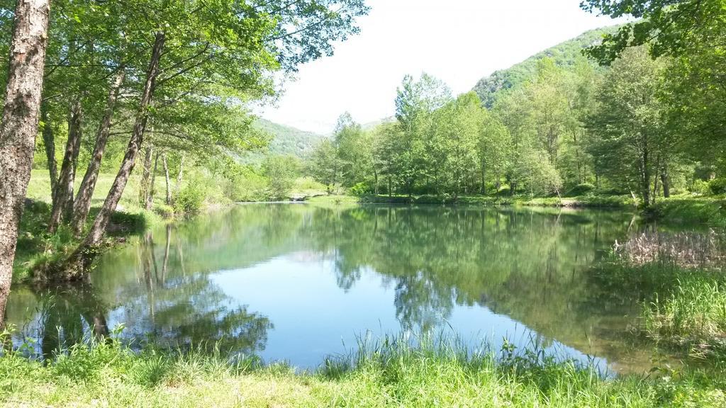 Camping Paradis La Marmotte Ax-les-Thermes Dış mekan fotoğraf